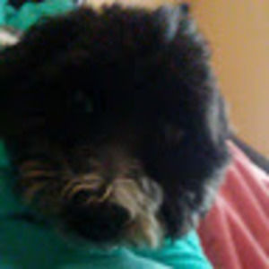 Meet your Posher, Kendall